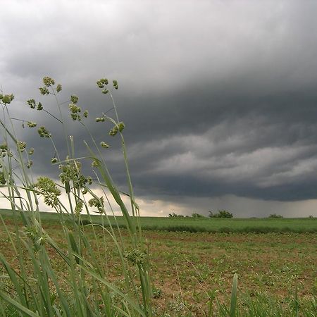 Agroturystyka Kalina Wielka Zewnętrze zdjęcie